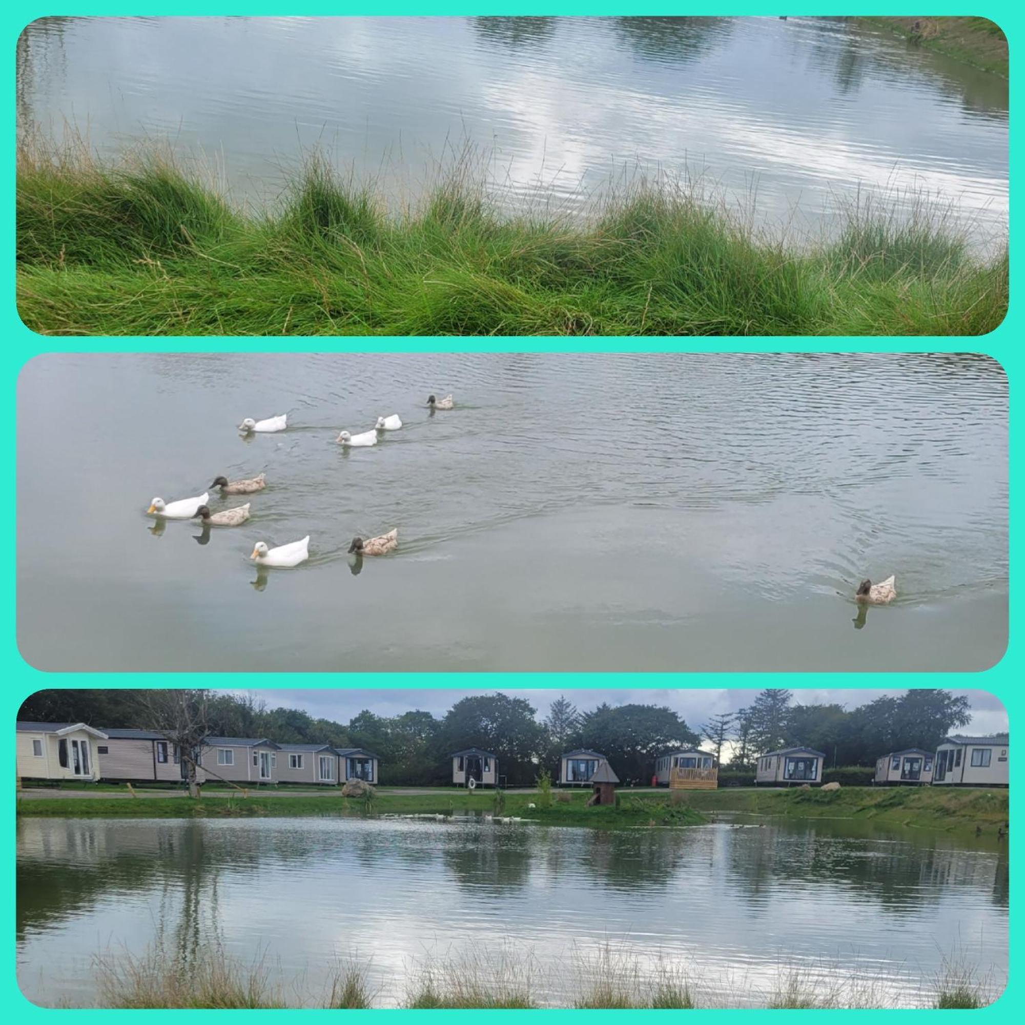 Beautiful 2 Bedroom Caravan, Holiday Park Tenby Saint Florence Exterior foto